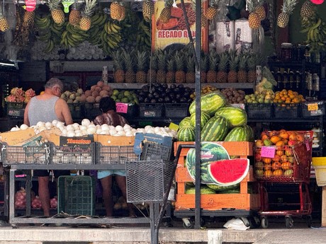 Remodelación de la Central de Abasto de Mérida: ¿Qué obras se realizarán?