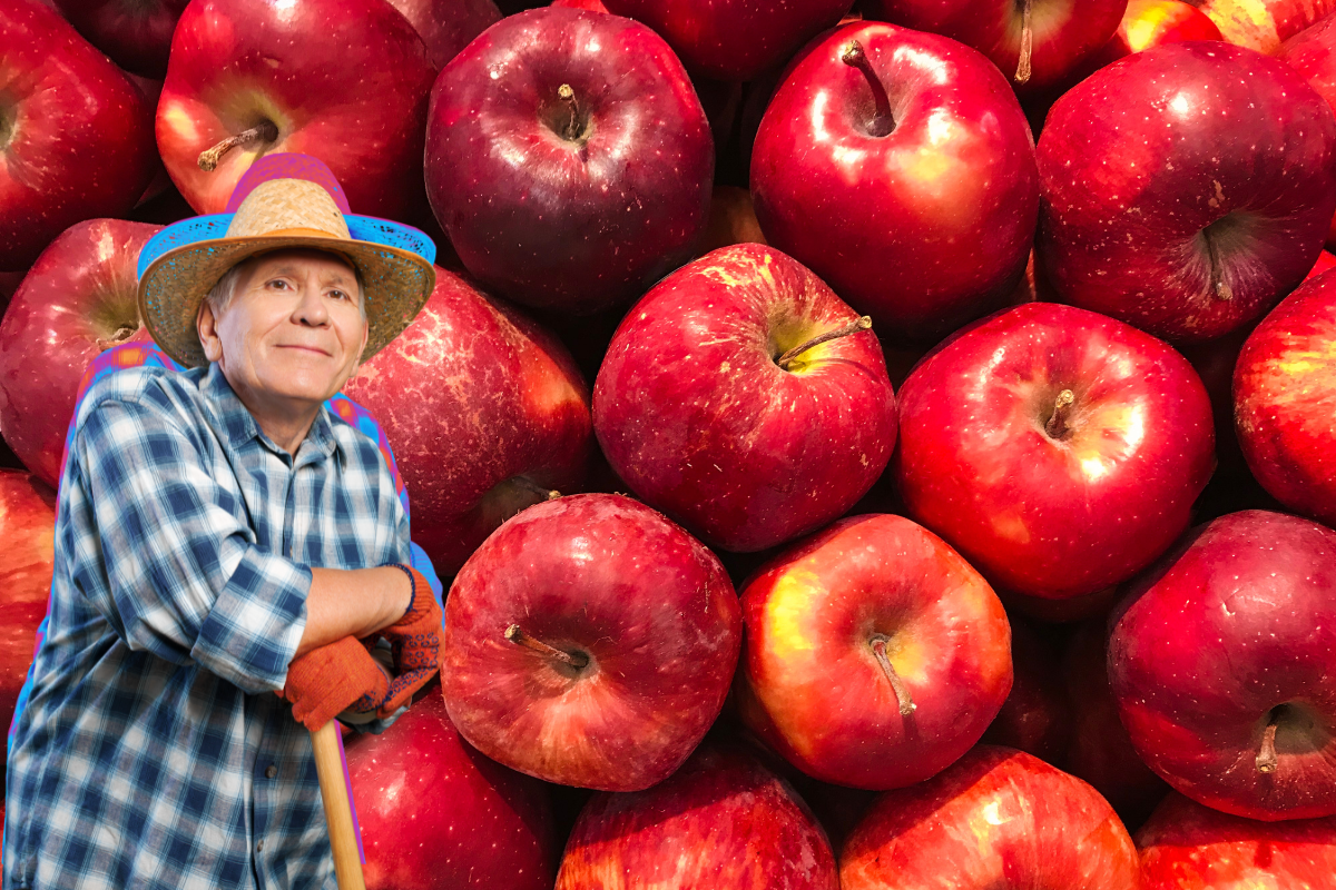 Desde el siglo XX, la región ha experimentado grandes avances en la producción de manzanas./Foto: Canva