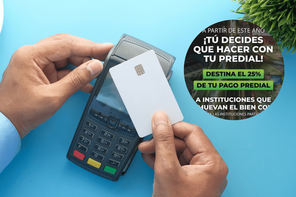 El predial se puede pagar de forma rápida y sencilla en los módulos disponibles que puedes consultar en Apodaca.gob.mx, en la que también se puede realizar el pago. Foto: Canva.