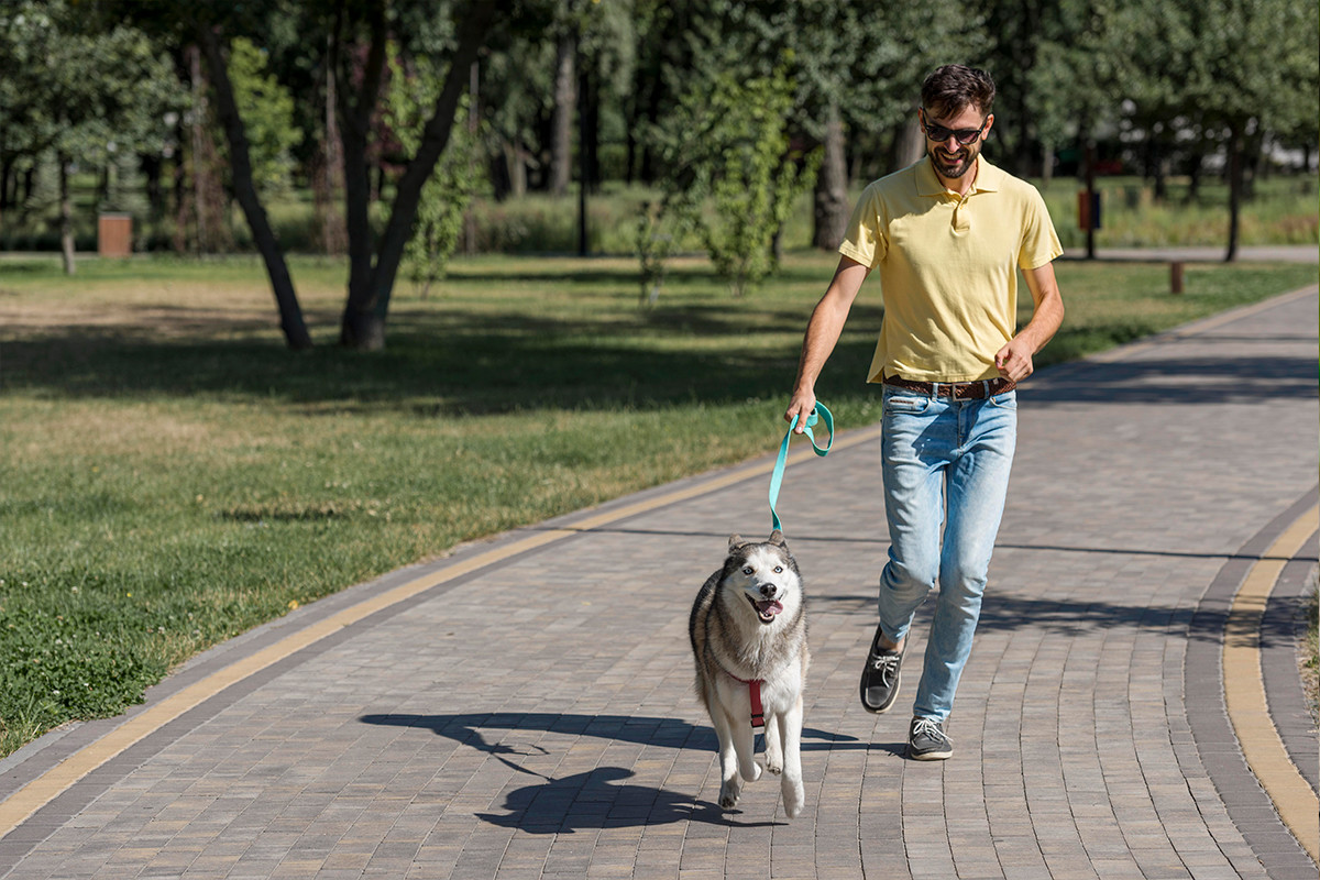 En paviemento o entre la naturaleza, lleva a tu perro a esta simpática carrera canina. Foto: Freepik.