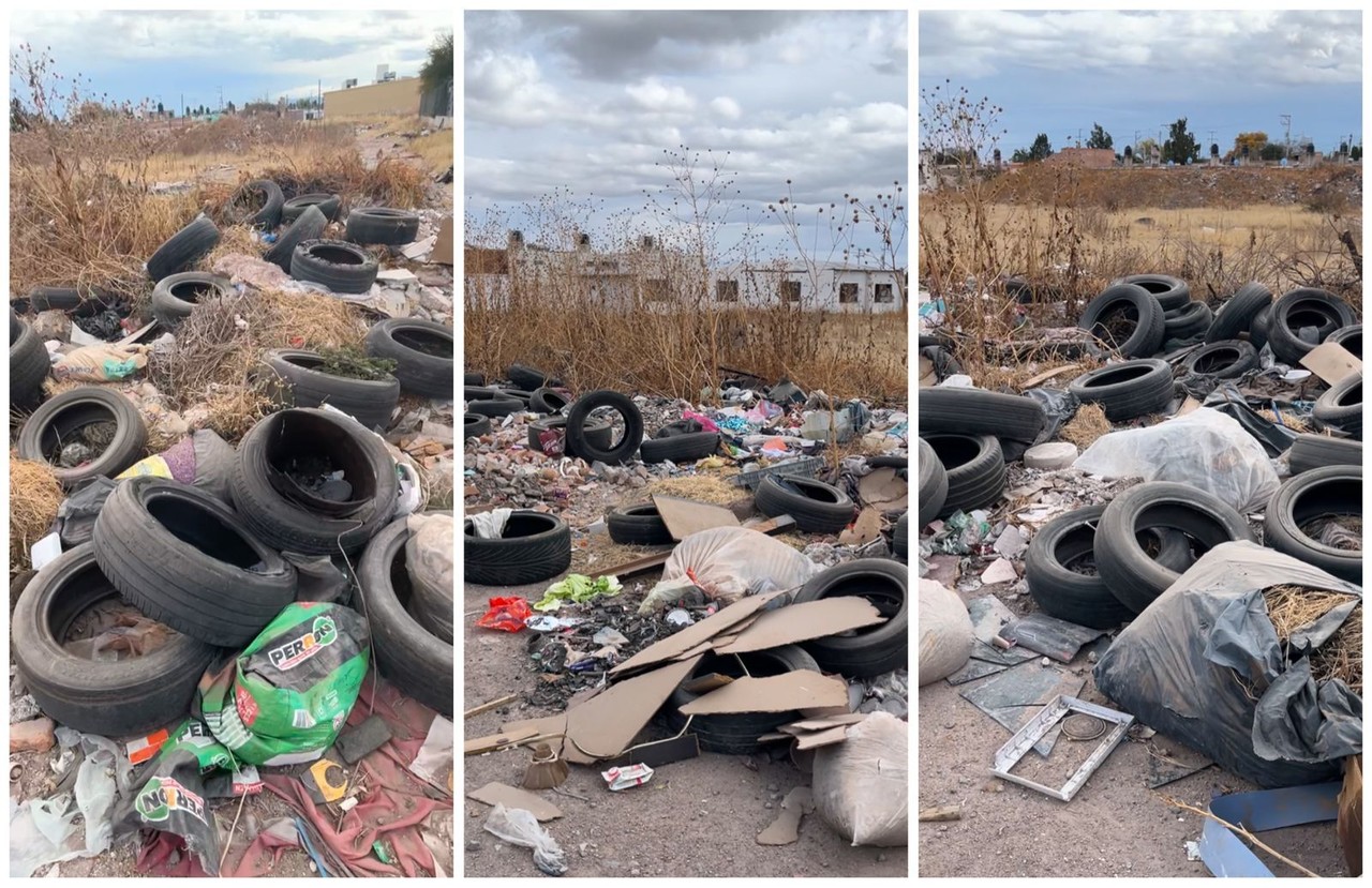 Los vecinos aseguran que dicho terreno baldío no se ha limpiado durante años. Foto: Jesús Carrillo.