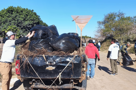 Retiran más de 3 toneladas de plástico en manglares de Puerto San Carlos