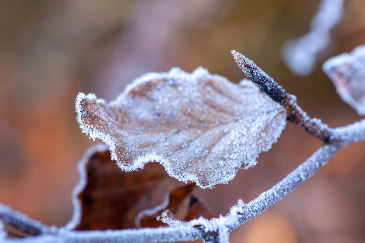 La masa de aire ártico asociada al sistema frontal, en interacción con una vaguada en niveles altos, las corrientes en chorro polar y subtropical, continúa generando una onda fría en el norte y noreste del país. Foto: Freepik