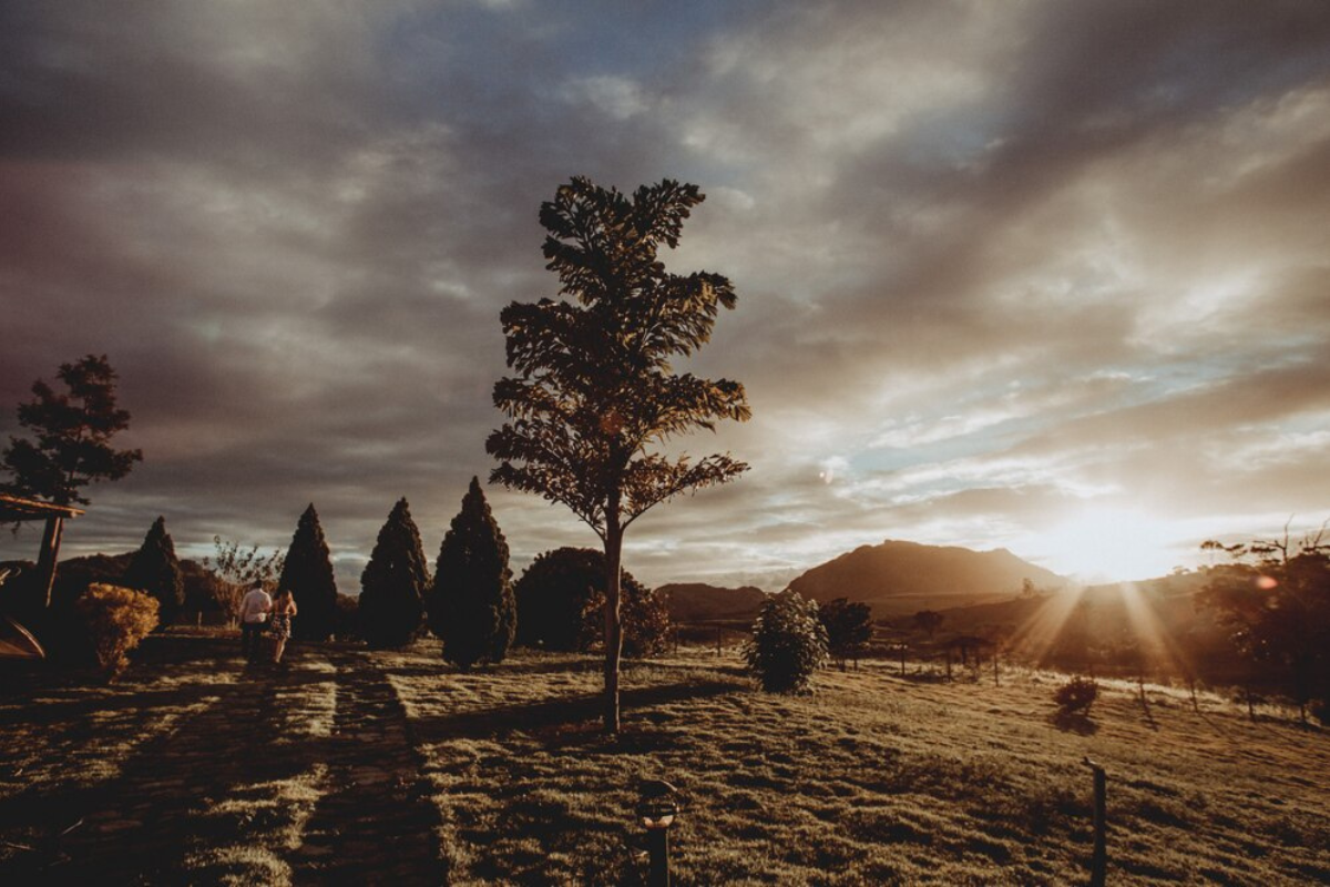 Ambiente agradable en la temperatura hoy sábado en Tamaulipas. Foto: Freepik