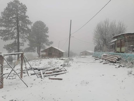 Tormenta Invernal en Durango: se registran primeras nevadas en la sierra