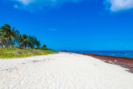 Esta es la carretera perfecta para un tour por las playas de Yucatán