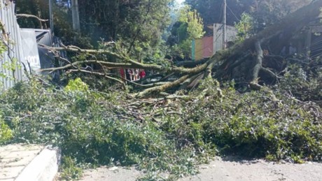 Fuertes vientos en Edomex: 3 recomendaciones para evitar accidentes