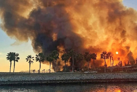 ¡Fuera de control! Incendio en Estero de San José del Cabo no logra ser apagado