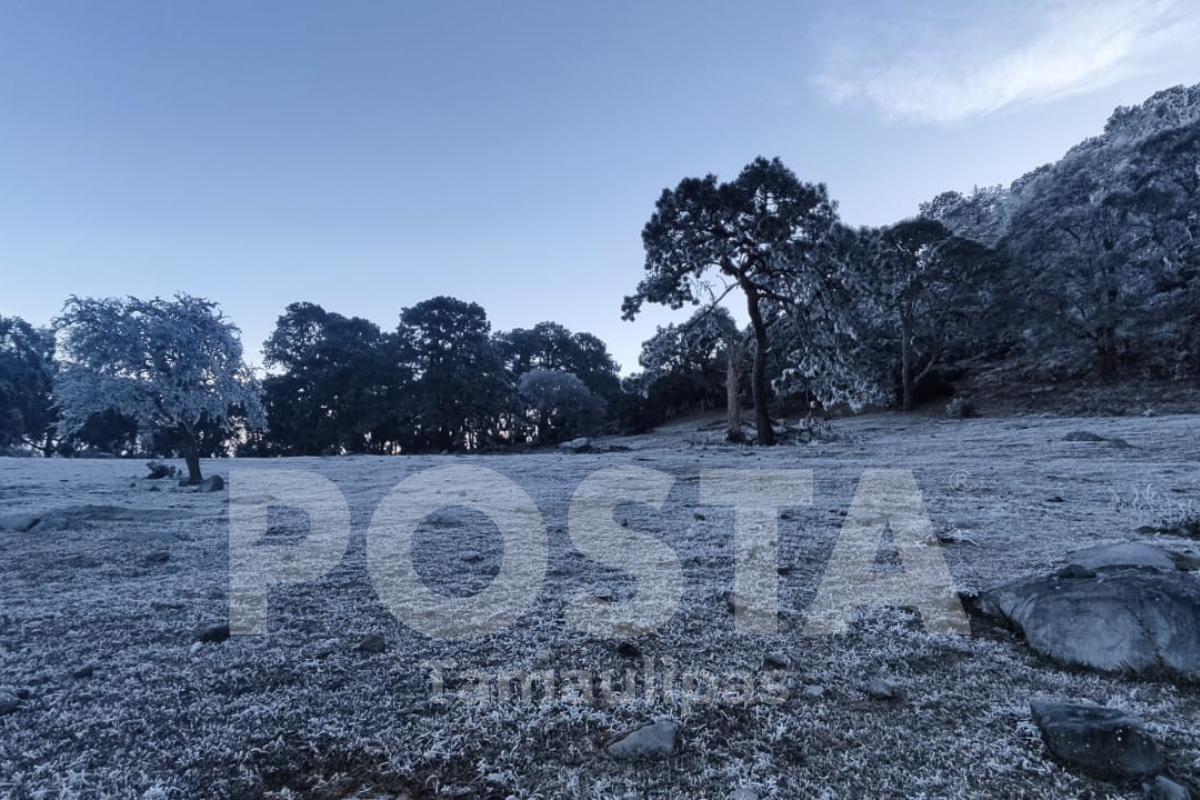 Rancho el Tejocote, ubicado en la parte más alta de la Sierra Madre Oriental. Foto: sMiR jNe