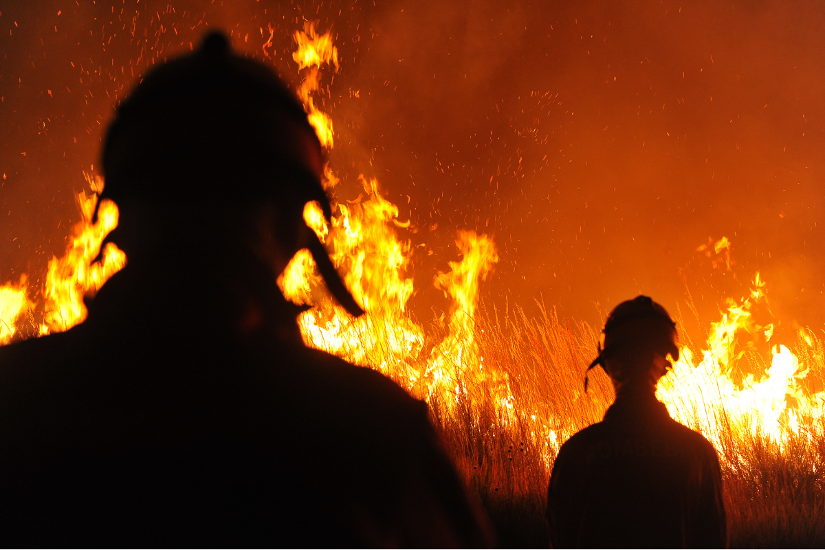 El humo de los incendios ha envuelto a Los Ángeles en una nube tóxica, afectando gravemente la calidad del aire./Foto: Canva