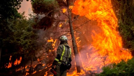 Coahuila lidera en prevención de incendios forestales, logra récord positivo en 2024