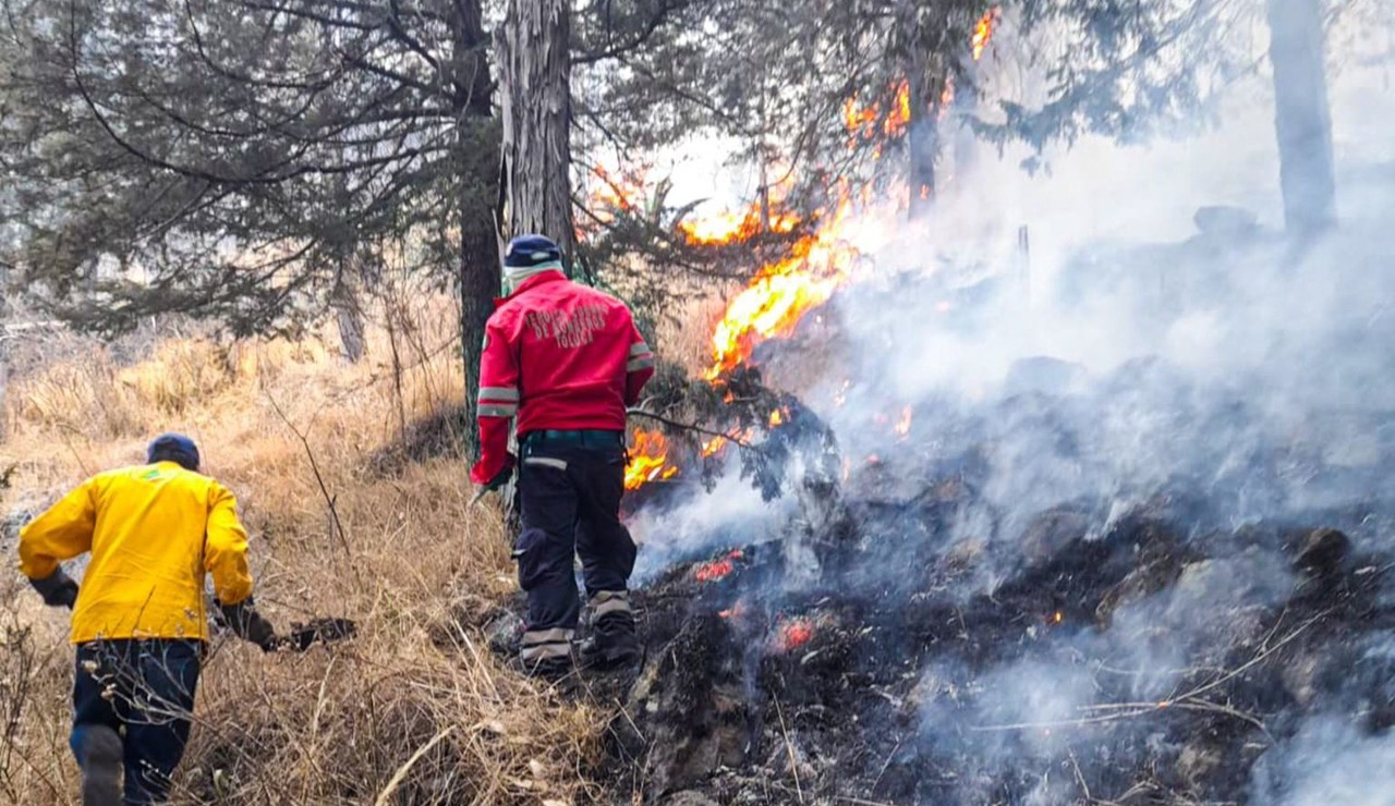 Incendios forestales: medidas urgentes para evitar siniestros.Foto: @TolucaGob