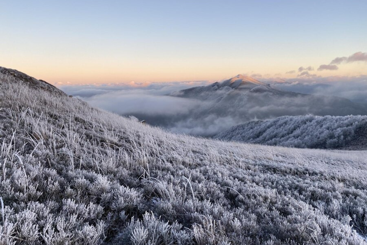 Frente Frío 22 y Tormenta invernal afecta a gran parte de México. Foto: Freepik