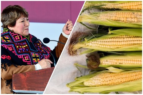 Delfina Gómez anuncia nuevo apoyo al campo, esto recibirán productores de maíz