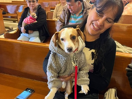 En Saltillo, los perrhijos protagonizan la bendición del Día de San Antonio Abad