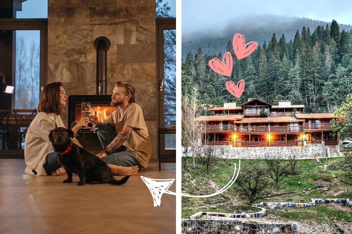 Cabañas de Monterreal Arteaga para celebrar el 14 de febrero con tu pareja / Foto: México Desconocido | Canva