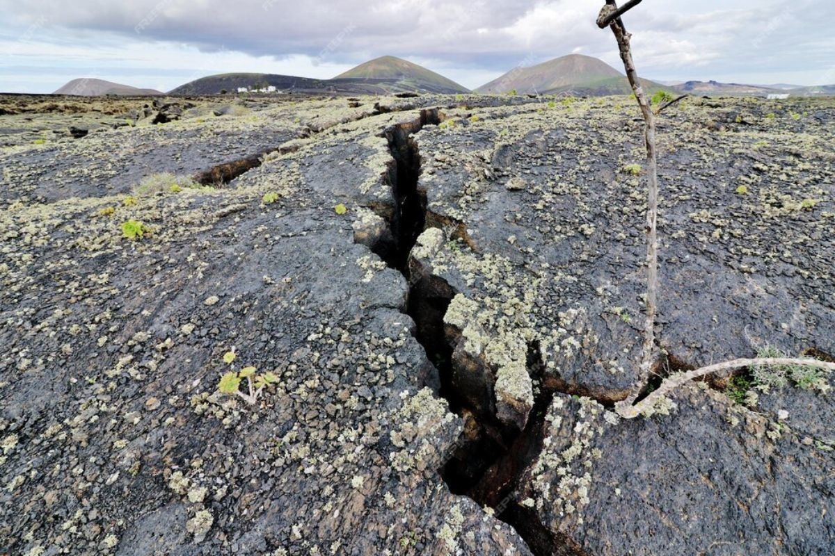 Primer sismo en Tamaulipas con magnitud de 3.7 grados. Foto: Freepik