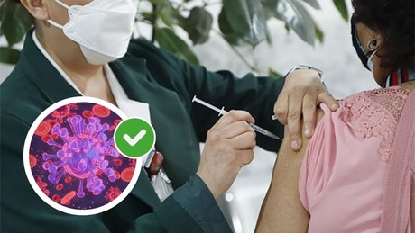 ¿Vacunas contra la influenza gratis? Conoce la inactiva del IMSS Coahuila