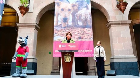 Delfina Gómez entrega apoyo a asociaciones civiles protectoras de animales en el Edomex