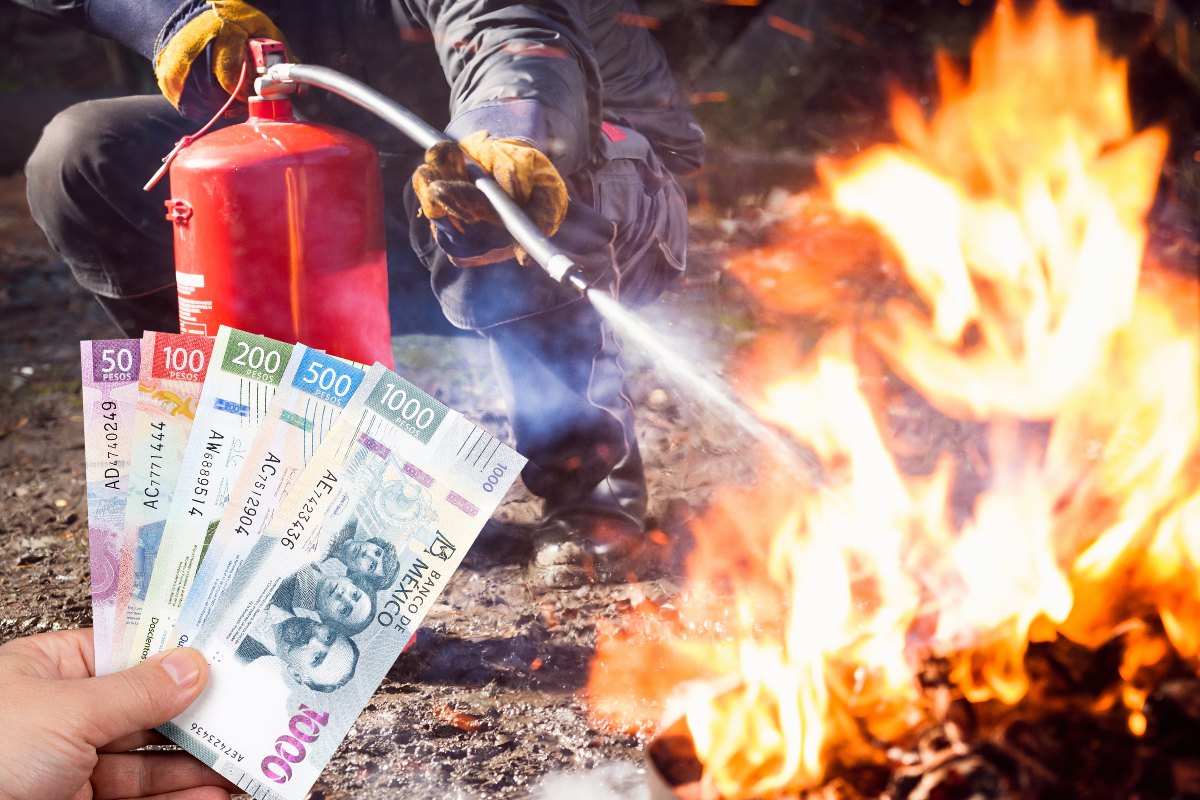 El edil ha anunciado una recompensa de hasta 5,000 pesos para quienes proporcionen información de los causantes de incendios Foto: Canva