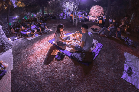 Celebra San Valentín con un romántico picnic de noche en los bosques de Chapultepec