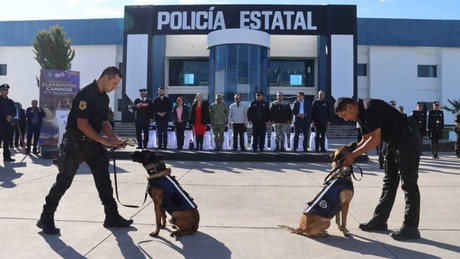 FOTOS │Perros policías de Durango se jubilan en emotiva ceremonia