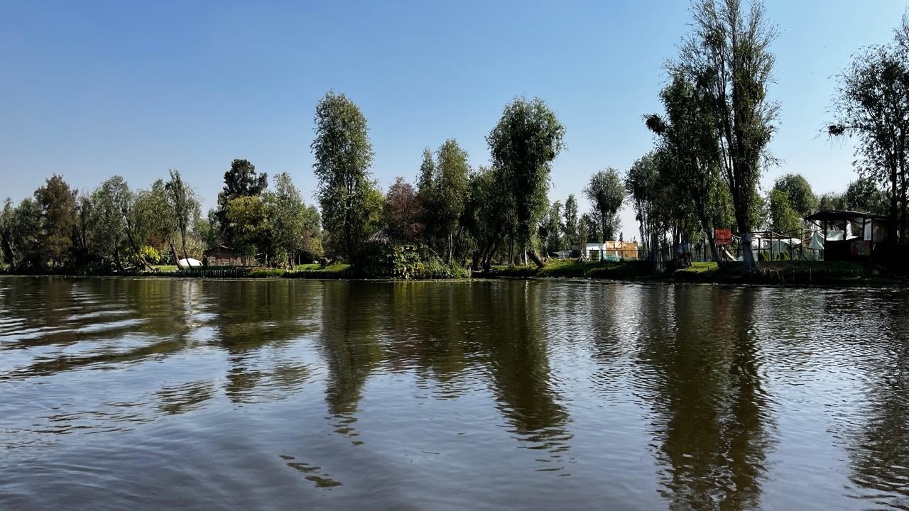 Así lucen las chinampas de Xochimilco. Foto: Laura Ávila