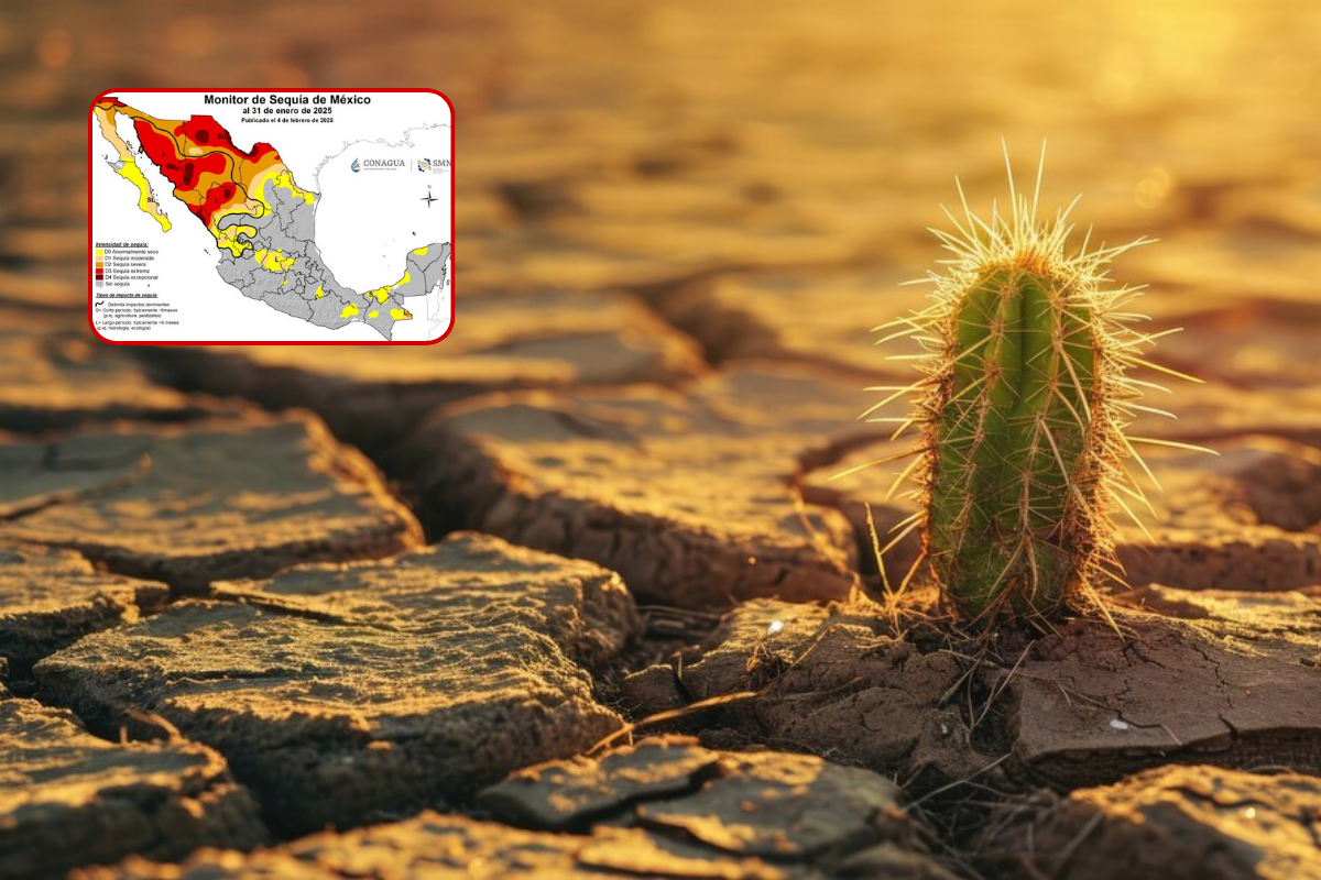 Tamaulipas empieza a verse afectado a falta de lluvia. Foto: Perla Herrera