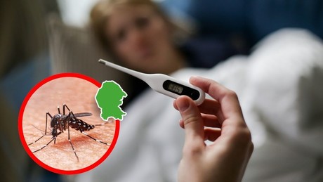 Piedras Negras en alerta por nueva variante del Dengue en Coahuila