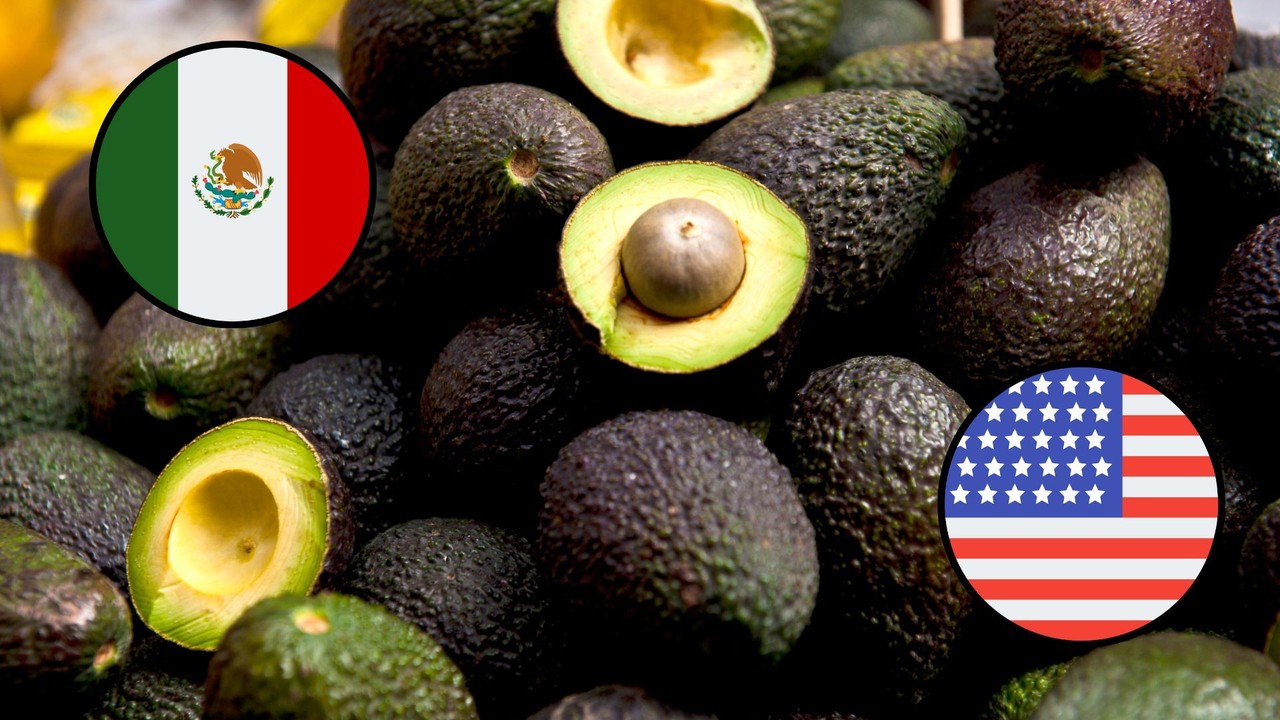 Agromex es una de las impresas que exporta guacamole a Estados Unidos. (Fotografía: Canva)