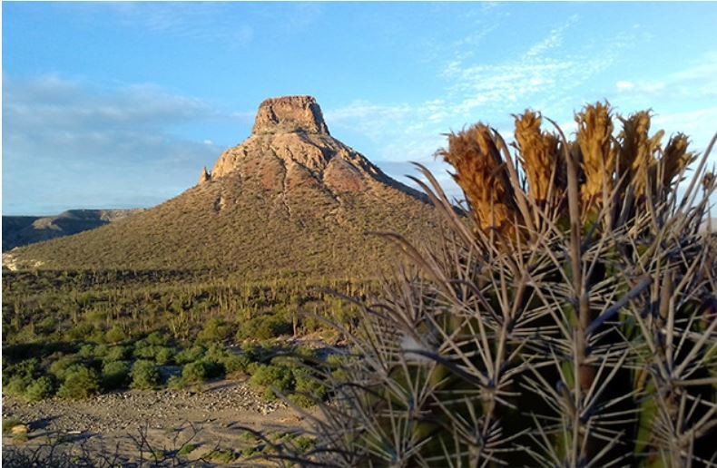 El Cerro de El Pilón es un símbolo de La Purísima y San Isidro. Fotografías: Modesto Peralta Delgado.