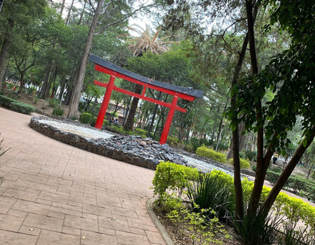 Parque Masayoshi Ohira, el jardín japonés que es ideal para volver a enamorar a tu pareja