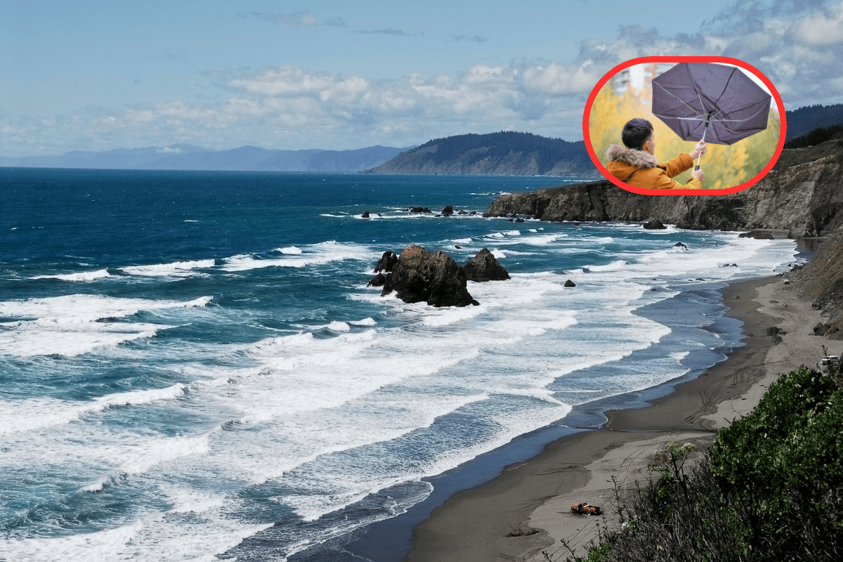 Durante este día, el frente frío No. 26 se extenderá desde el noreste del Golfo de México hasta el oriente del territorio nacional. Foto: CANVA