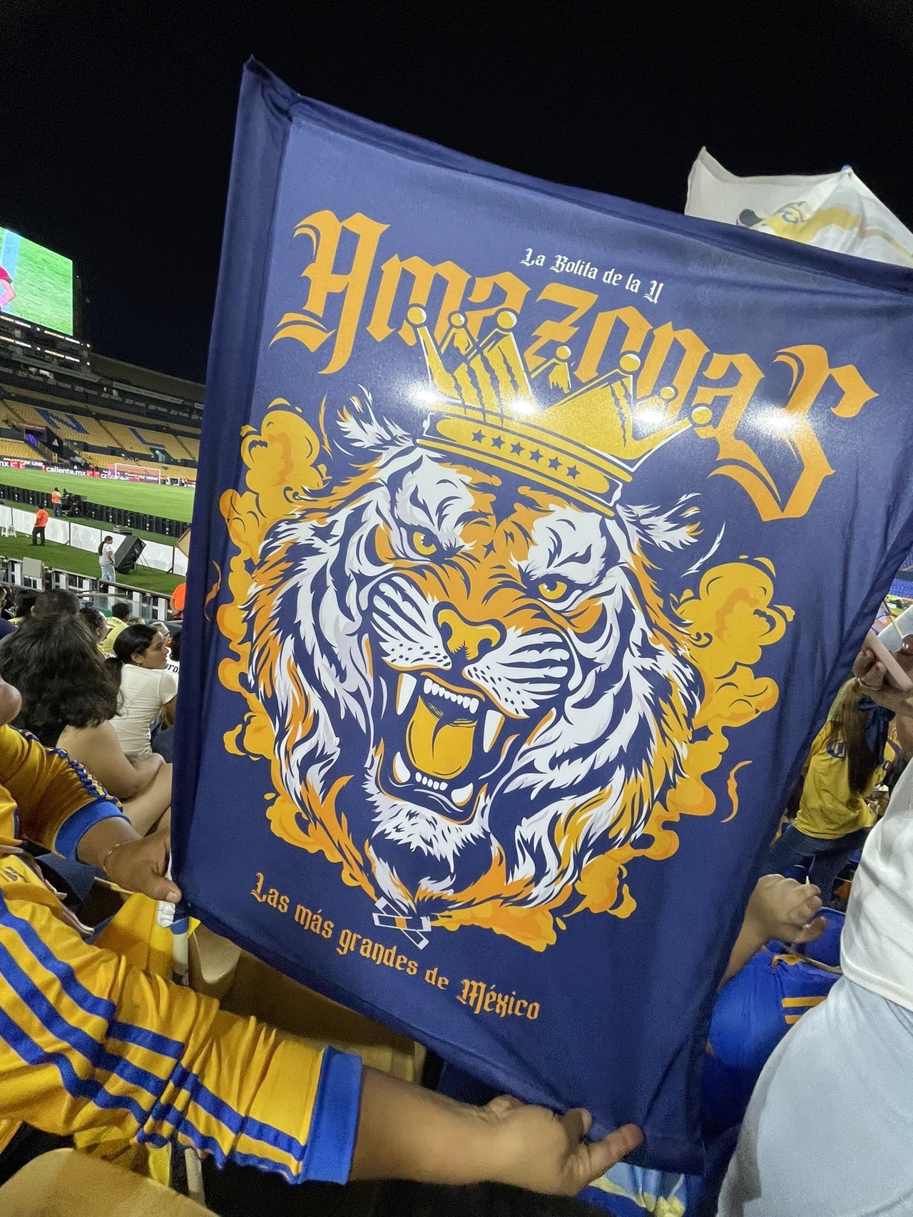 Seguridad del Universitario retira banderas a aficionados de Tigres Femenil