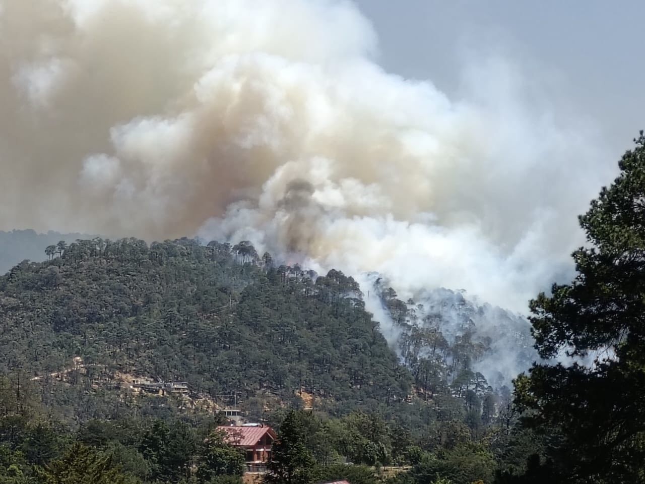 Incendio en la zona boscosa de Mienral del Chico; no se reportan personas lesionadas Foto: X