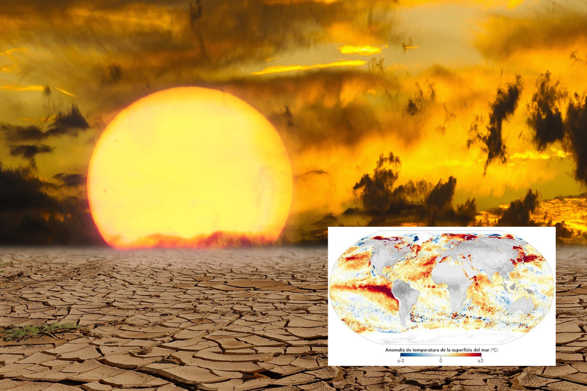 El mundo arde: asegura la NASA que el año 2023 ha sido el más caluroso de la historia Foto: NASA