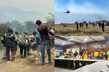 Fuego consume 620 hectáreas de Altas Montañas en Veracruz