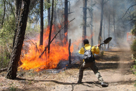 817 hectáreas afectadas por incendio en Huitzilac, Morelos; continúan labores