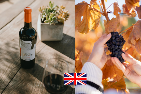 Reino Unido etiqueta vinos de importación para venderlos como 'británicos'