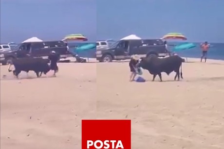 Toro embiste a mujer en playa de Baja California Sur