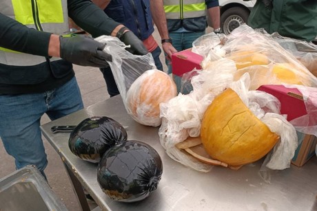 España: Confiscan más de una tonelada de cocaína que venía dentro de melones