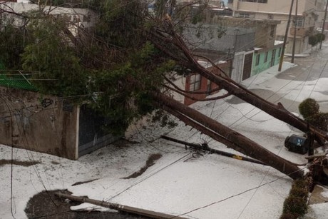 Intenso granizo y lluvia sorprende a Puebla; derrumba árboles e inunda autos