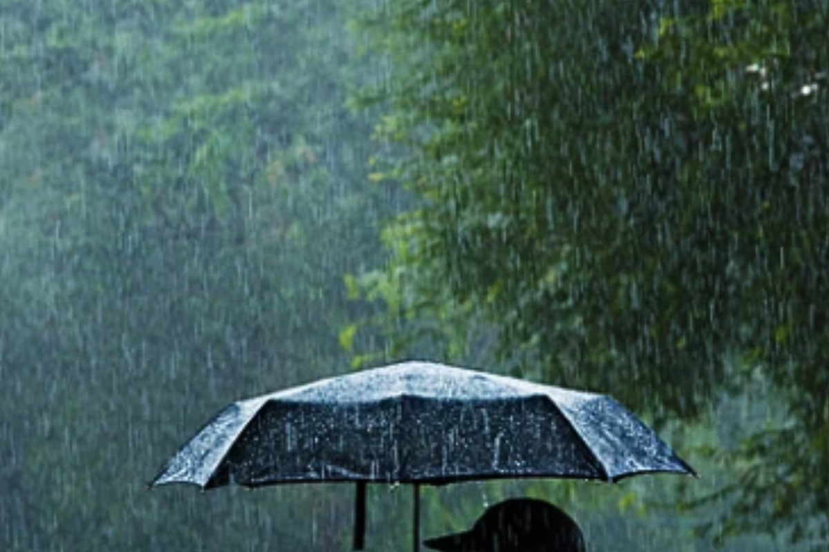 Lluvia fuerte cayendo sobre el paraguas de una persona, al fondo se pueden observar varios árboles. Foto: Especial