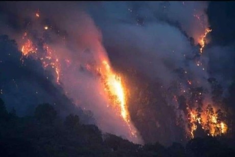 Se queman 150 hectáreas de bosque en Quimixtlán, Puebla