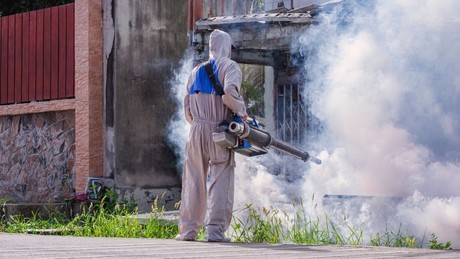 El Salvador aumenta fumigaciones por aumento de casos de dengue en niños