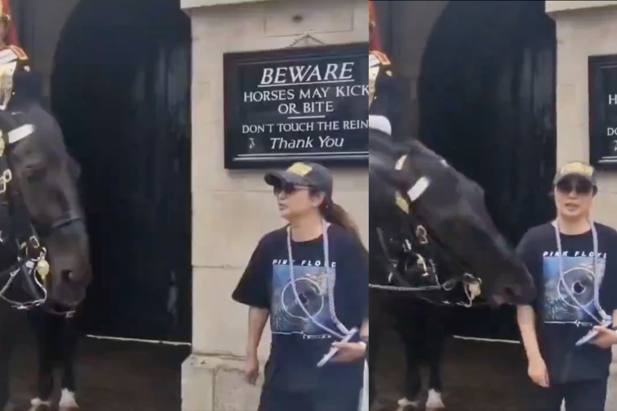 Momento previo y durante la turista es mordida por el caballo. Foto: Especial