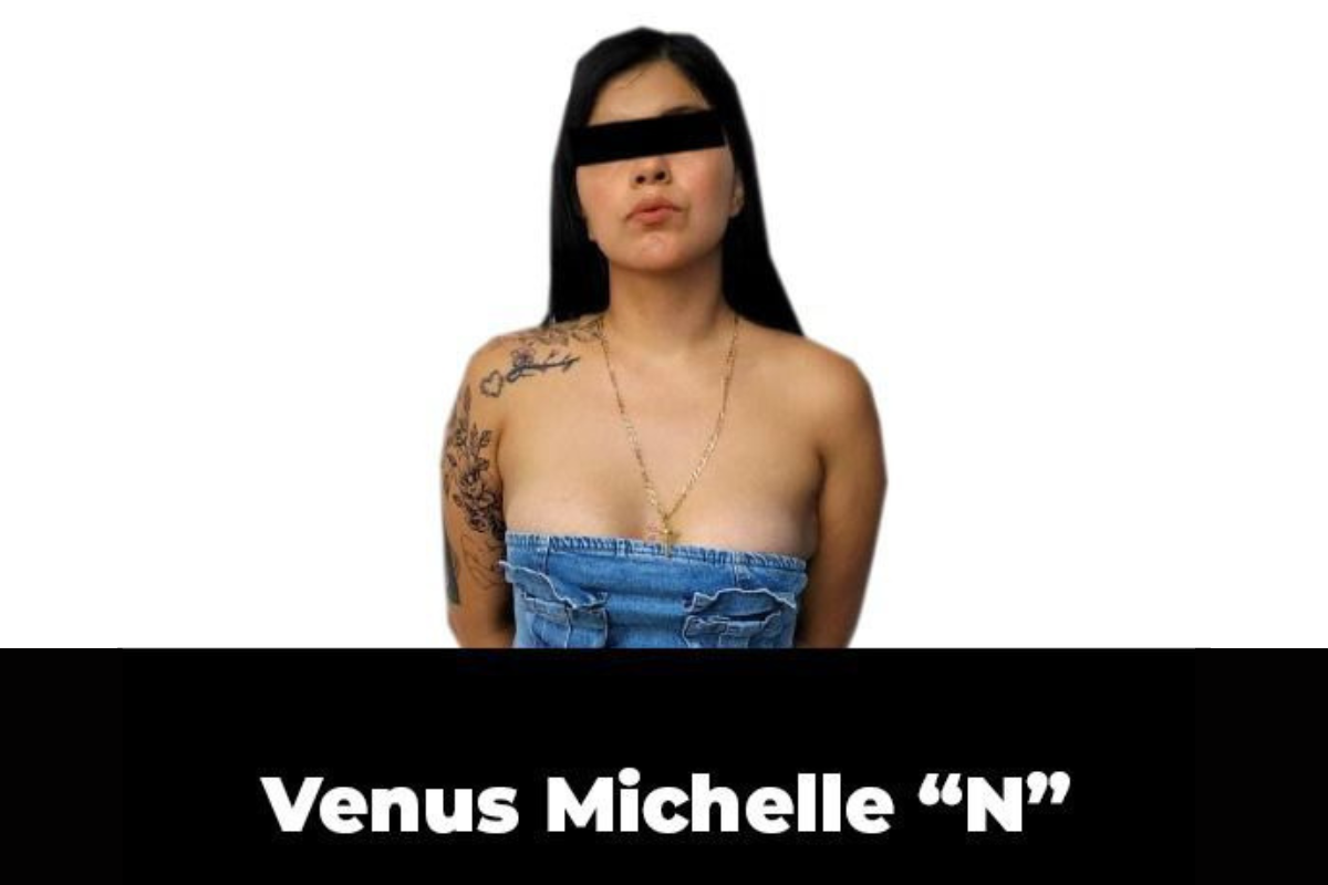 Ficha de detención de Venus Michelle 'N'. Foto: SSP