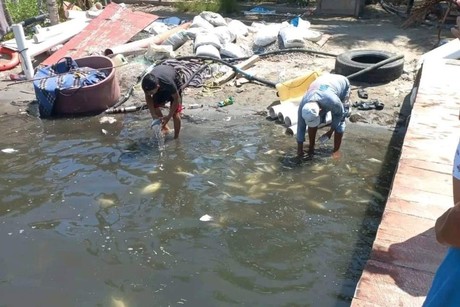 Aparecen peces muertos en Paraíso Tabasco; culpan a Refinería Olmeca