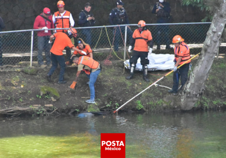 Encuentran cadáver de hombre en Los Lagos de Xalapa; autoridades investigan