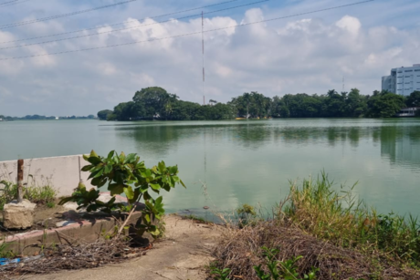 Hombre sin hogar es atacado por enorme cocodrilo en Villahermosa, Tabasco